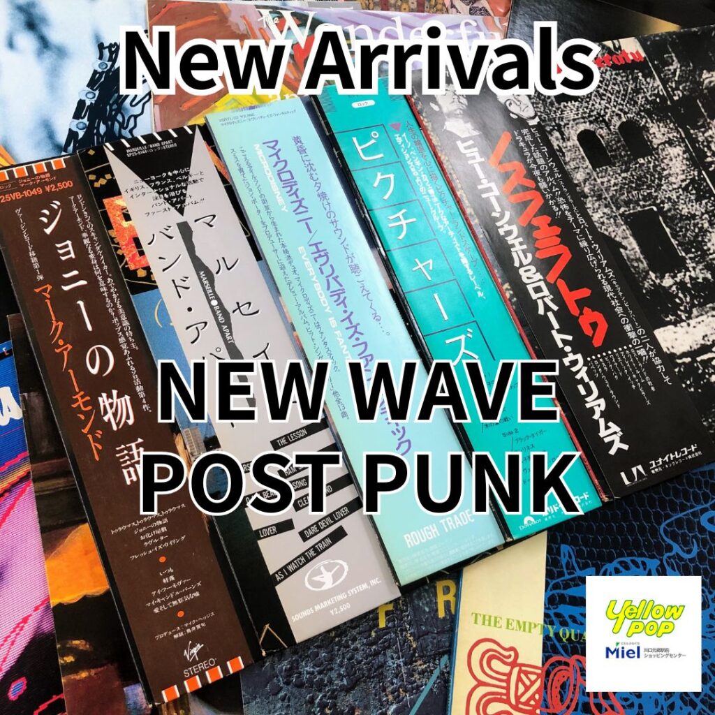2/6 新入荷】パンク・ニュー・ウェイブ・ポストパンク / レコード追加